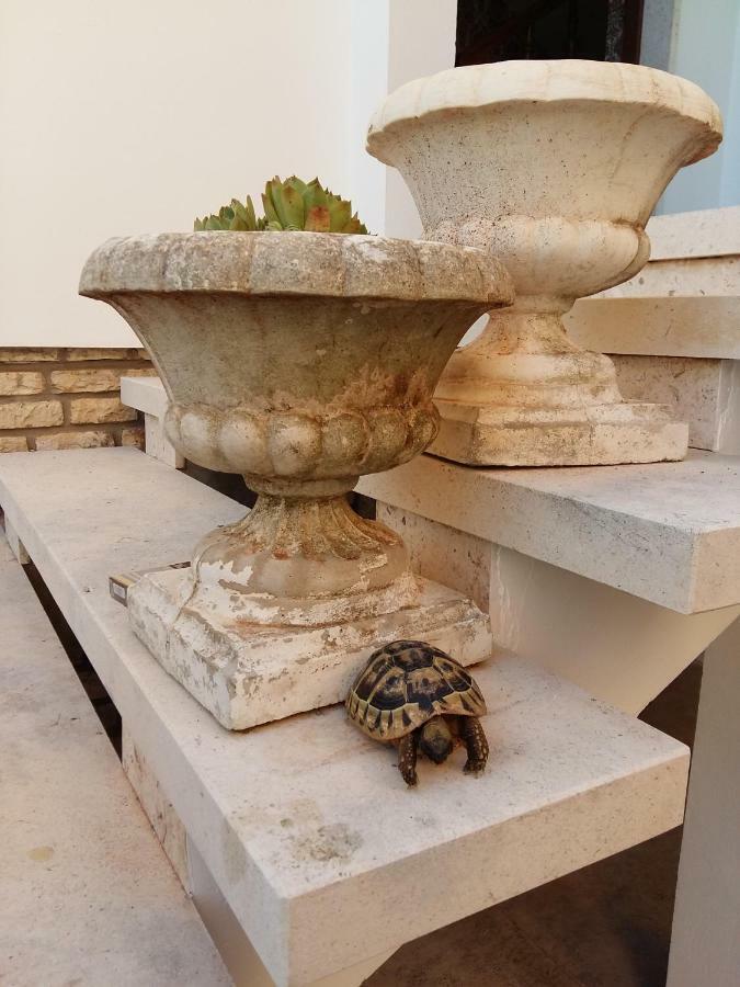 Villa Feodora Biograd Na Moru Bagian luar foto
